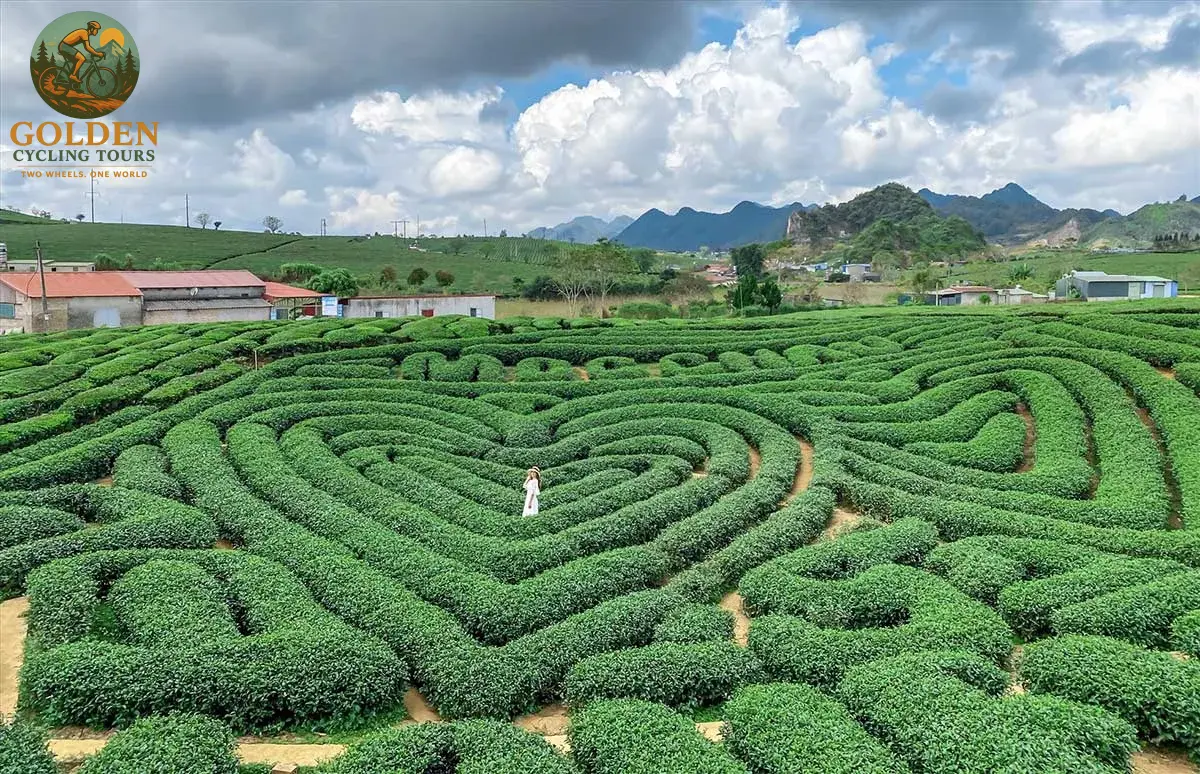 12-Day North Vietnam Cycling Adventure: Off the Beaten Path from Hanoi to Ninh Binh